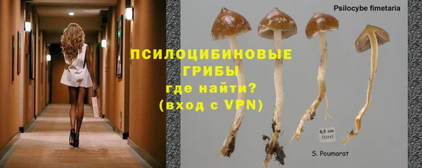 гашик Верхнеуральск