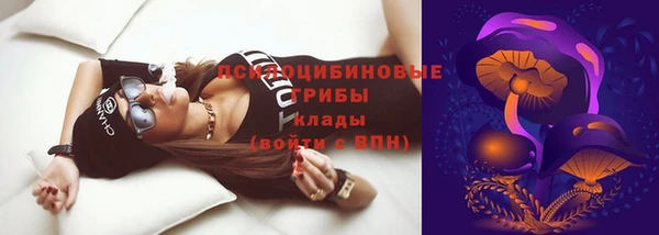 СК Верхний Тагил