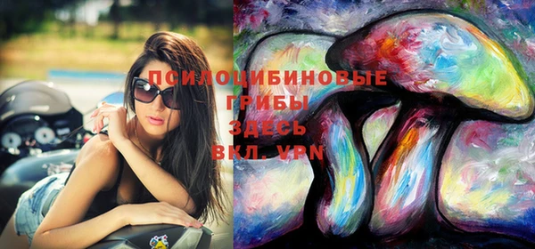 гашик Верхнеуральск